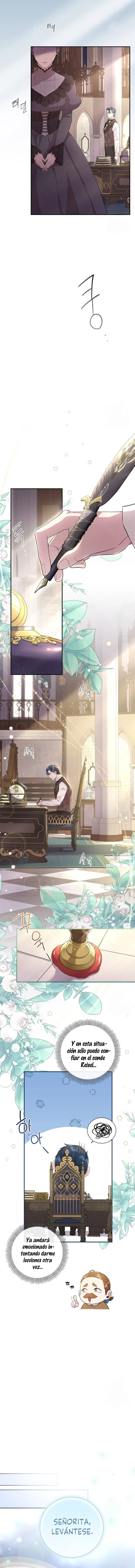 8 Las violetas que florecieron en el jardín