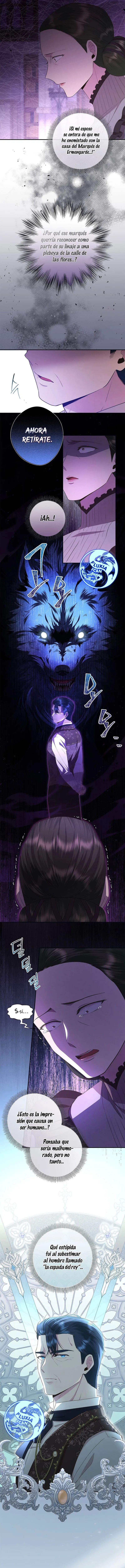 7 Las violetas que florecieron en el jardín