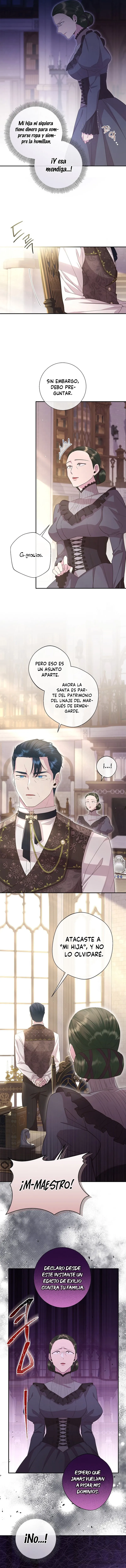 6 Las violetas que florecieron en el jardín