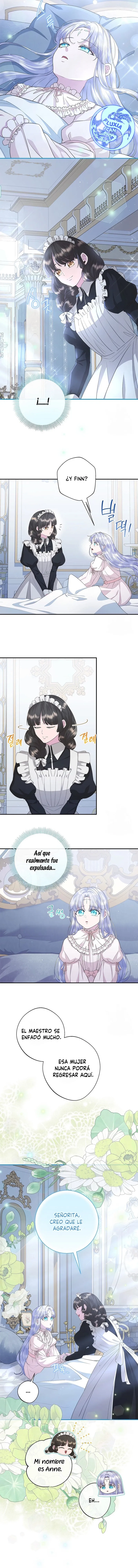 9 Las violetas que florecieron en el jardín