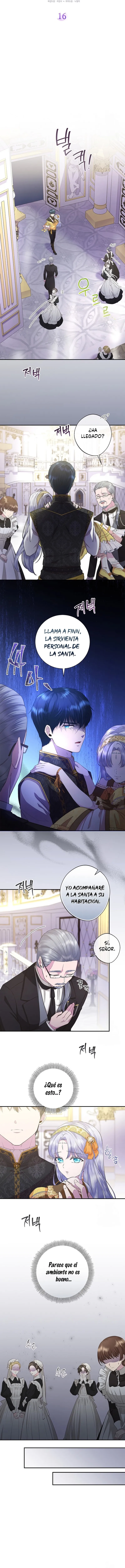 4 Las violetas que florecieron en el jardín