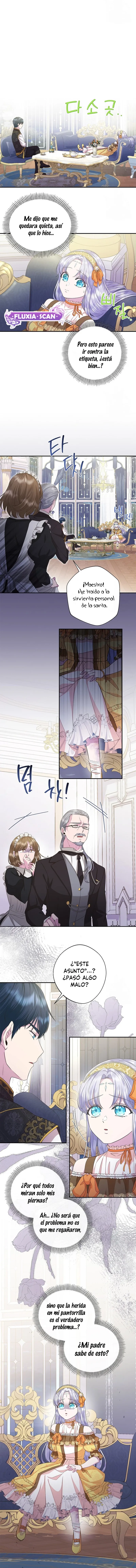 5 Las violetas que florecieron en el jardín