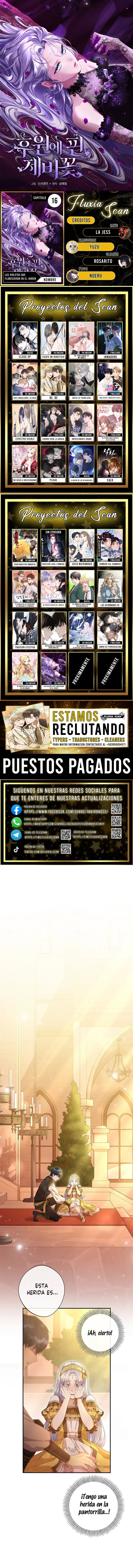 0 Las violetas que florecieron en el jardín