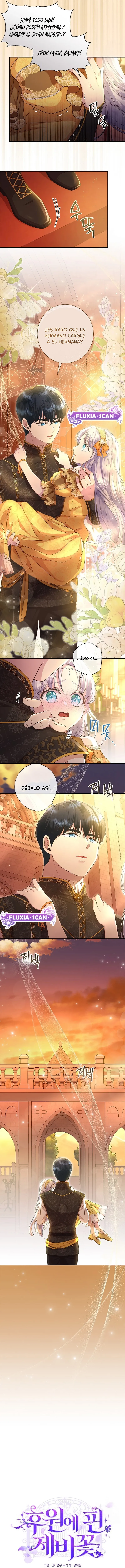 3 Las violetas que florecieron en el jardín