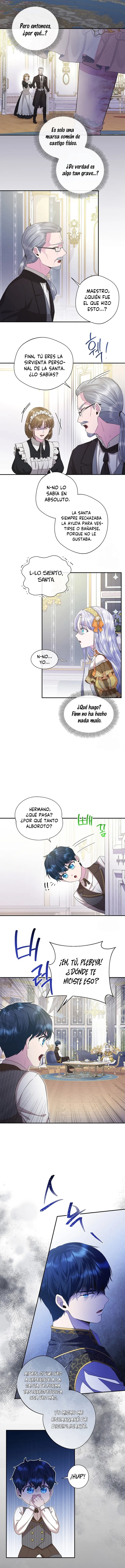 6 Las violetas que florecieron en el jardín