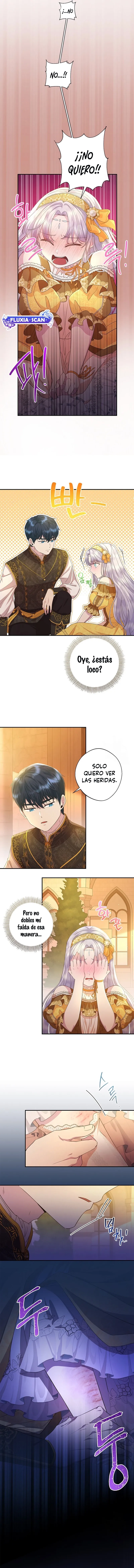 10 Las violetas que florecieron en el jardín