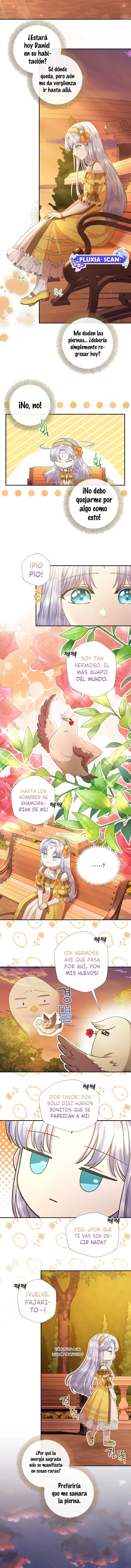 6 Las violetas que florecieron en el jardín