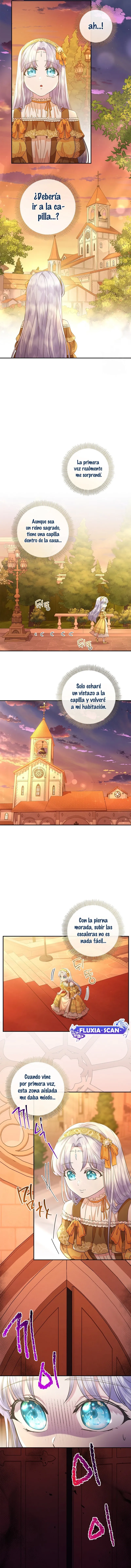 7 Las violetas que florecieron en el jardín