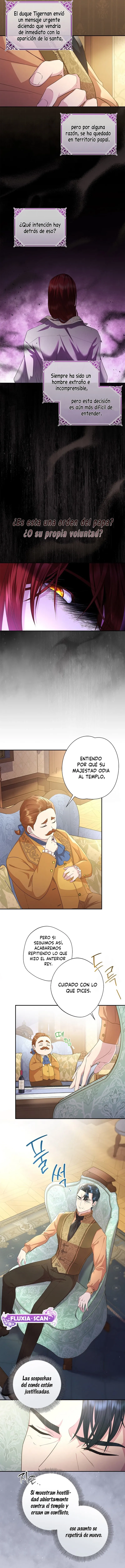 3 Las violetas que florecieron en el jardín