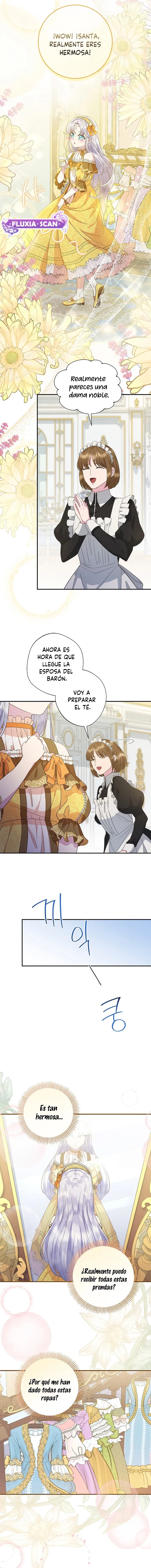 11 Las violetas que florecieron en el jardín