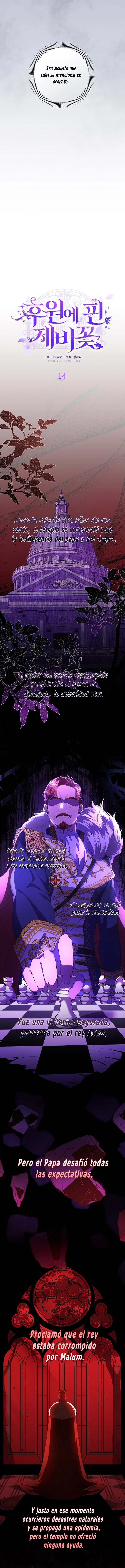 4 Las violetas que florecieron en el jardín