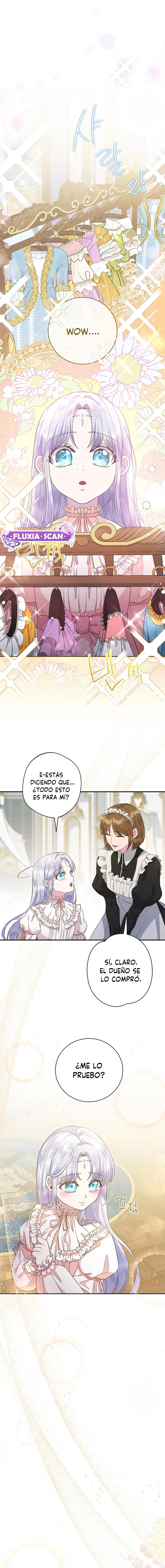 10 Las violetas que florecieron en el jardín