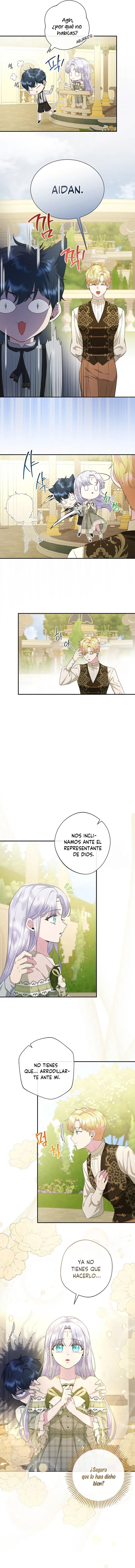 3 Las violetas que florecieron en el jardín