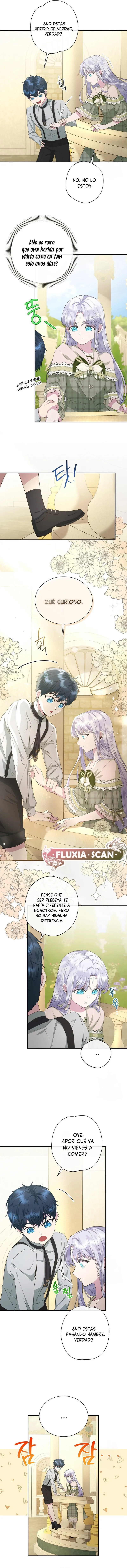 2 Las violetas que florecieron en el jardín