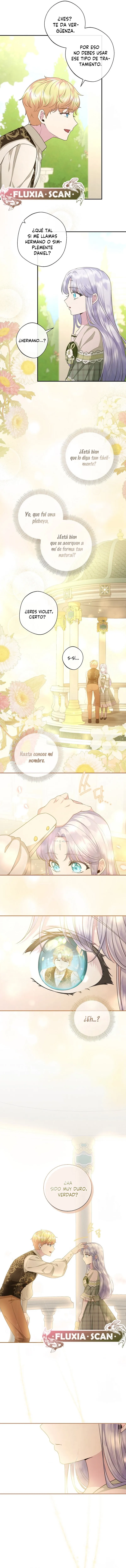 6 Las violetas que florecieron en el jardín