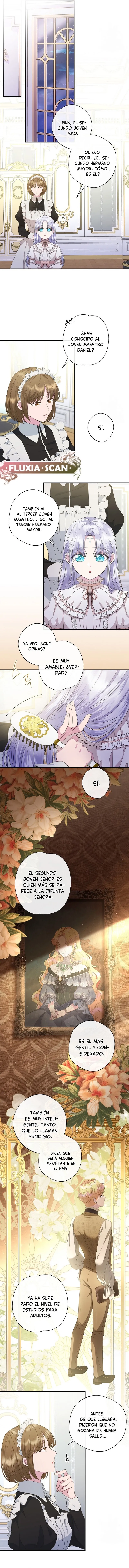 8 Las violetas que florecieron en el jardín