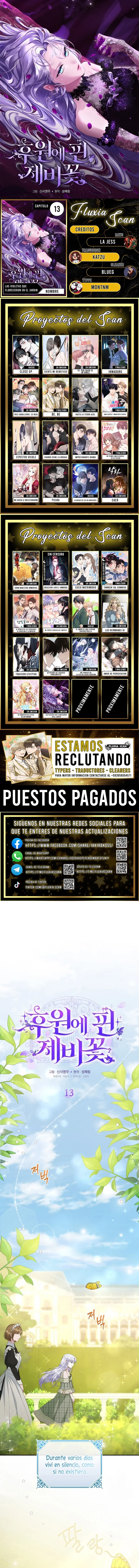 0 Las violetas que florecieron en el jardín