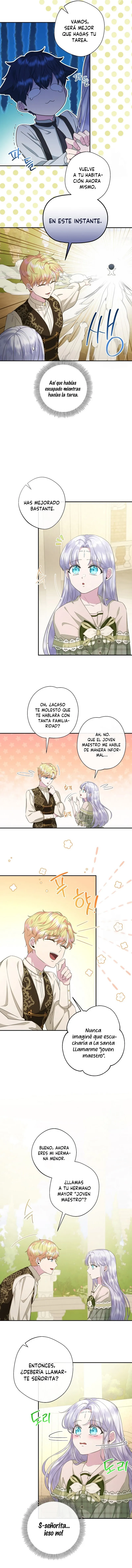 5 Las violetas que florecieron en el jardín