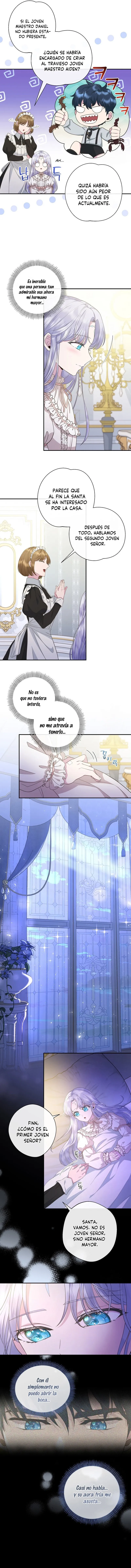 9 Las violetas que florecieron en el jardín