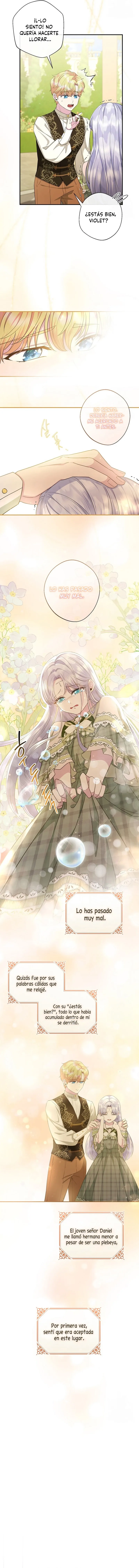 7 Las violetas que florecieron en el jardín