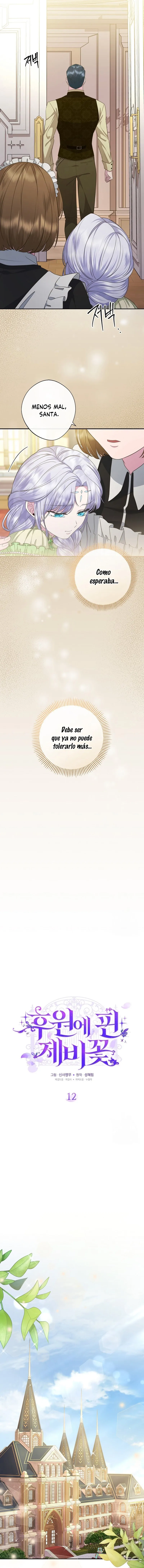 7 Las violetas que florecieron en el jardín