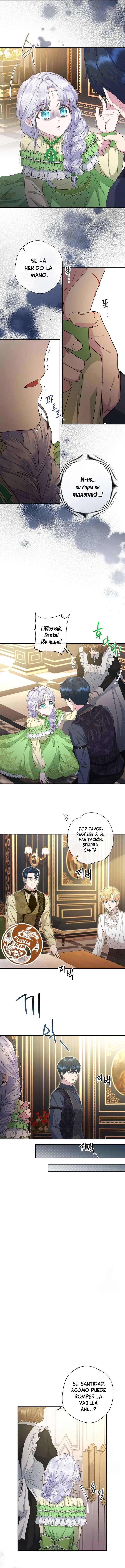 3 Las violetas que florecieron en el jardín