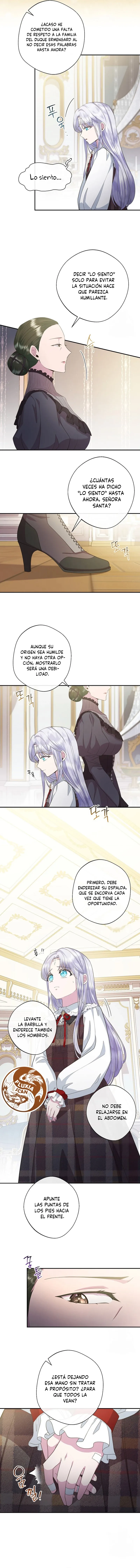 9 Las violetas que florecieron en el jardín