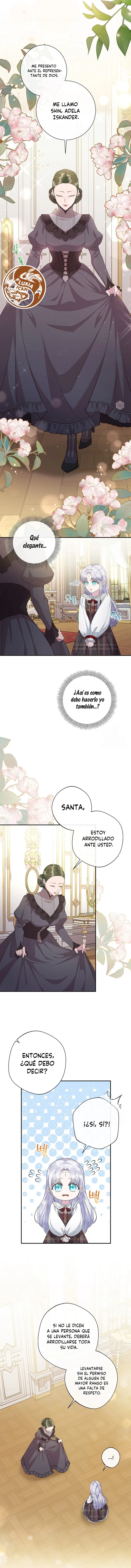 8 Las violetas que florecieron en el jardín