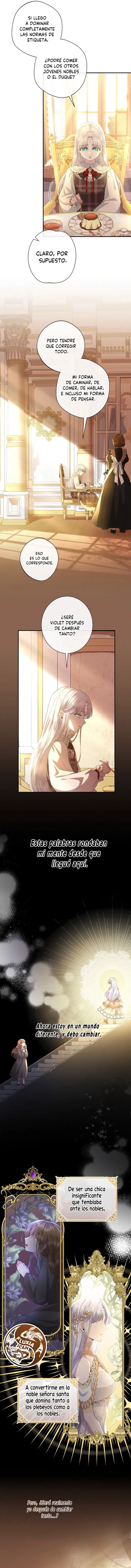 12 Las violetas que florecieron en el jardín