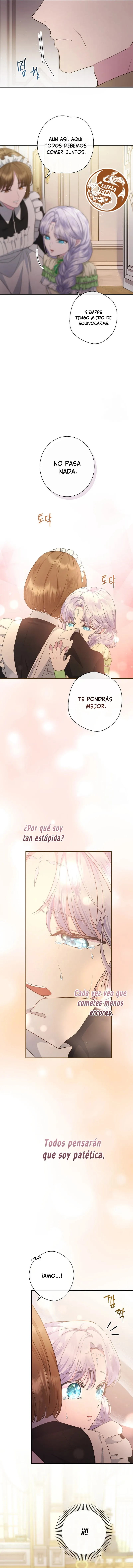 5 Las violetas que florecieron en el jardín