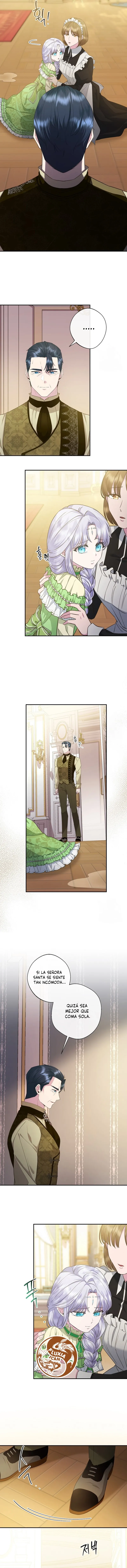 6 Las violetas que florecieron en el jardín