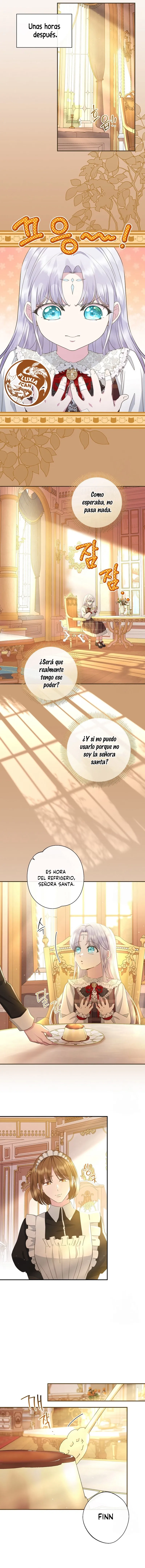 11 Las violetas que florecieron en el jardín