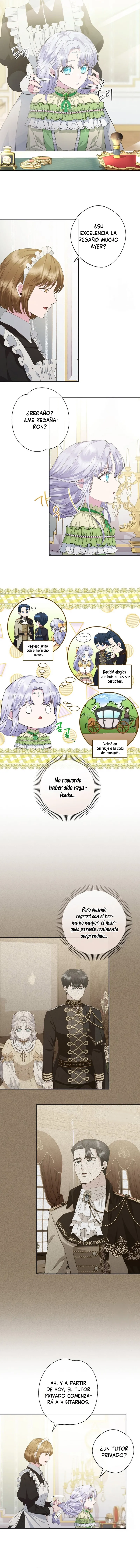 7 Las violetas que florecieron en el jardín