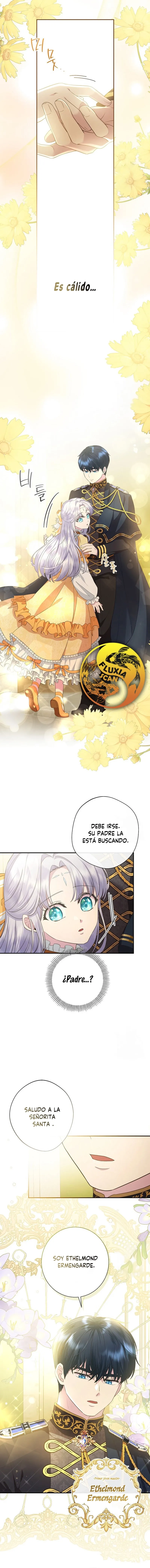 4 Las violetas que florecieron en el jardín