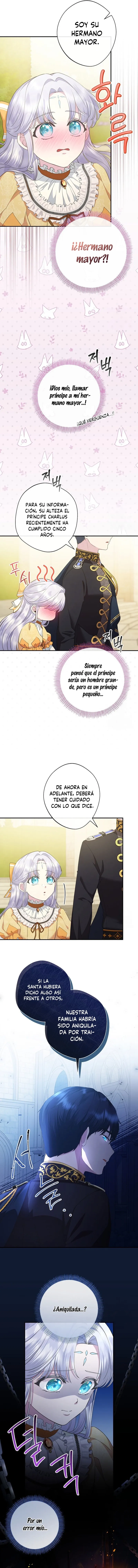 5 Las violetas que florecieron en el jardín