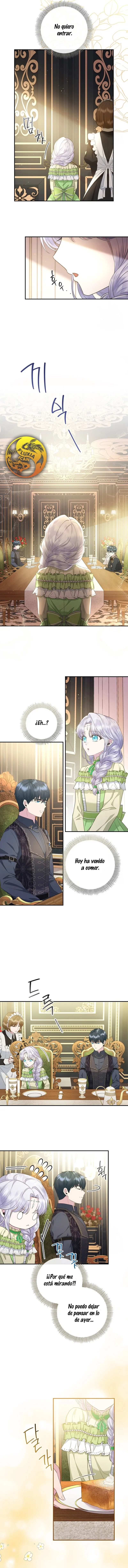 9 Las violetas que florecieron en el jardín