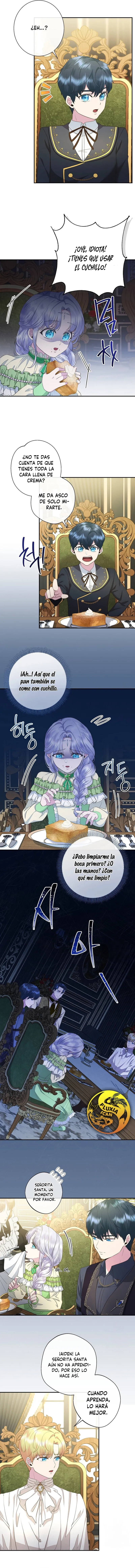 11 Las violetas que florecieron en el jardín