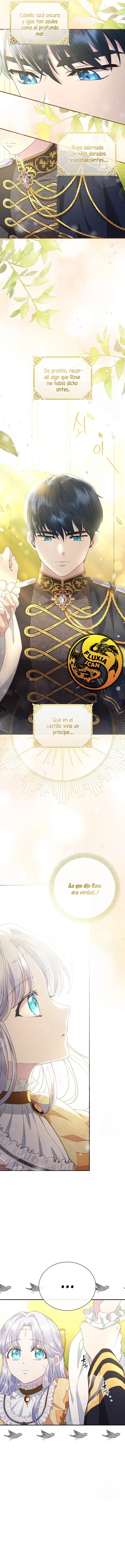 1 Las violetas que florecieron en el jardín