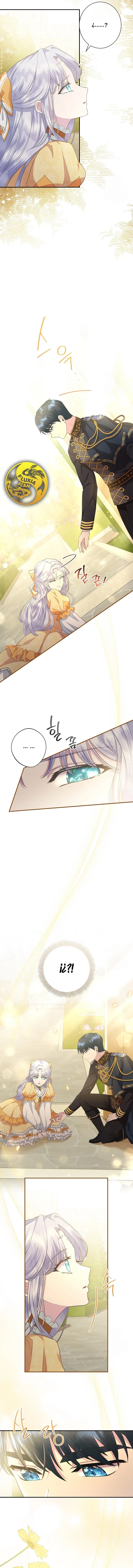 3 Las violetas que florecieron en el jardín