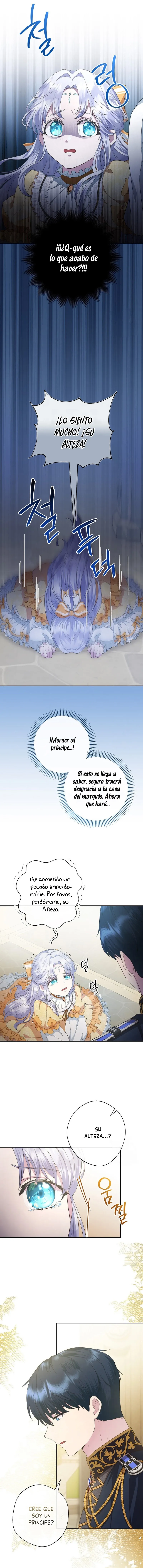 2 Las violetas que florecieron en el jardín