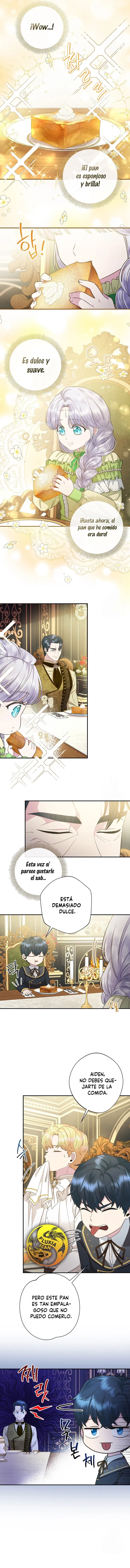 10 Las violetas que florecieron en el jardín