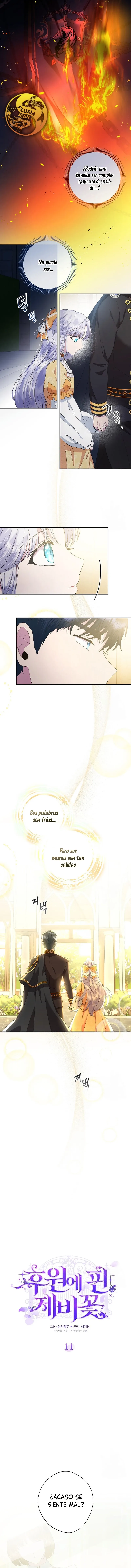 6 Las violetas que florecieron en el jardín