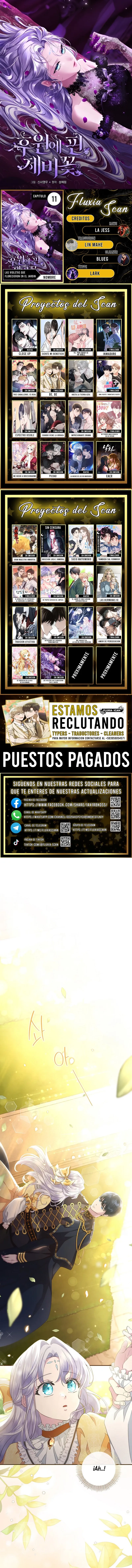 0 Las violetas que florecieron en el jardín