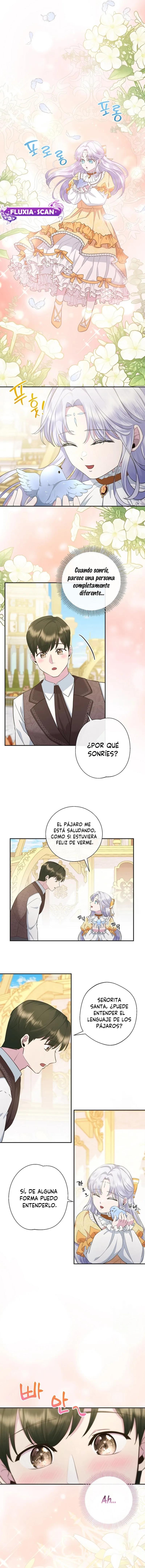 7 Las violetas que florecieron en el jardín