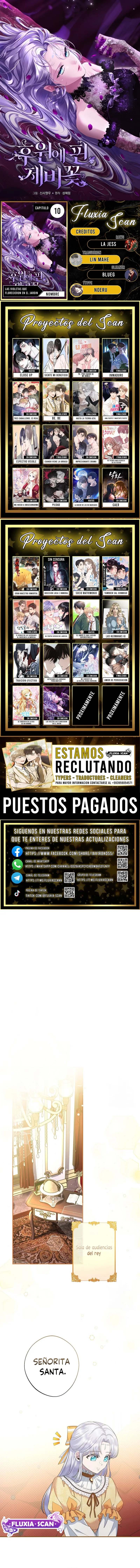 0 Las violetas que florecieron en el jardín