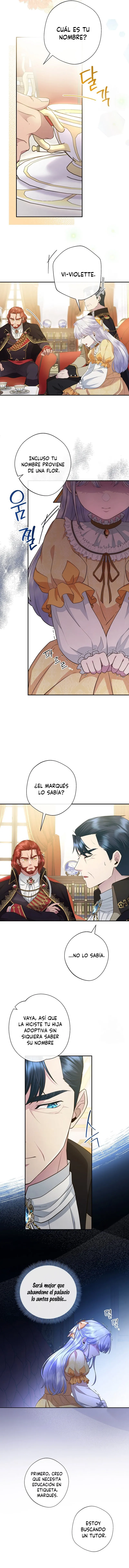 3 Las violetas que florecieron en el jardín