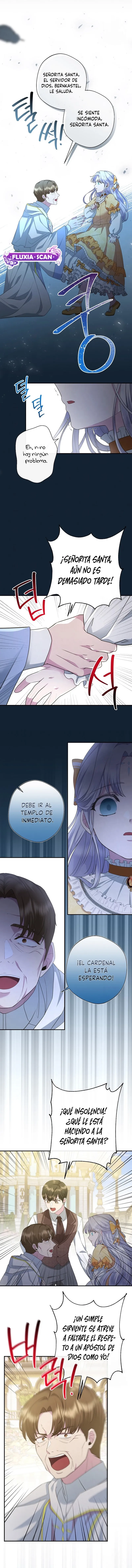 9 Las violetas que florecieron en el jardín