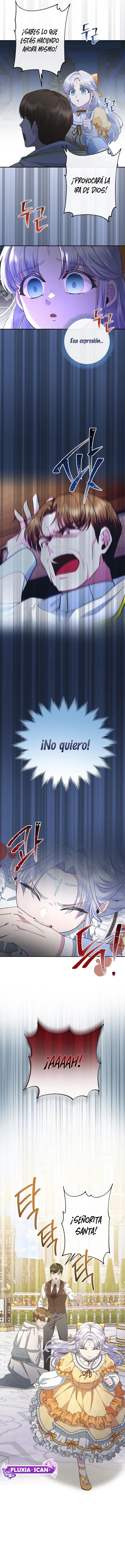 10 Las violetas que florecieron en el jardín