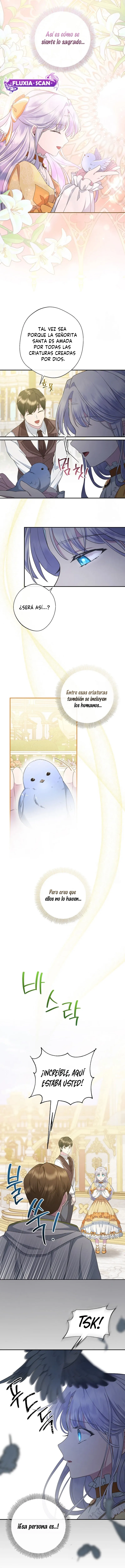 8 Las violetas que florecieron en el jardín