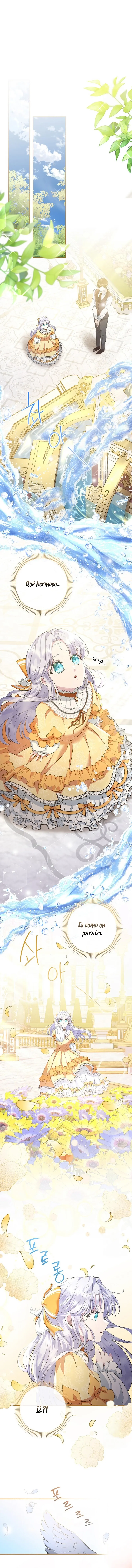 6 Las violetas que florecieron en el jardín